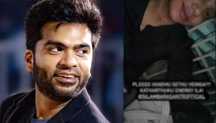 simbu-11